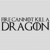 Наклейка «Fire can't kill a dragon»