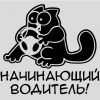 Наклейка «Кот Саймона Начинающий водитель v2»